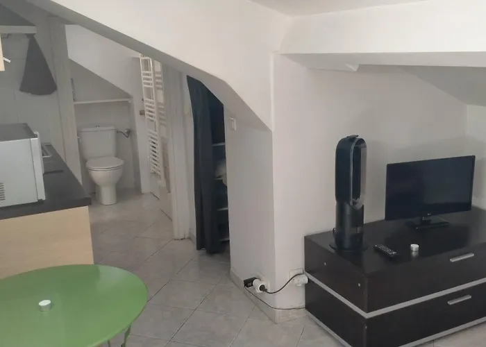 Charmant Logement Central ניס